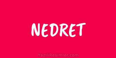 NEDRET