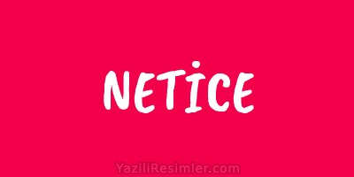 NETİCE