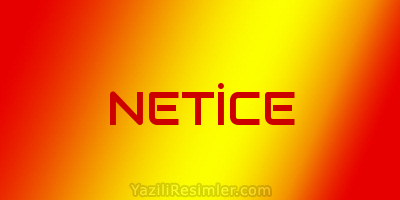 NETİCE