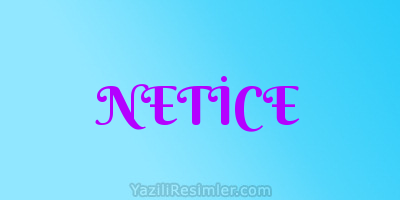 NETİCE