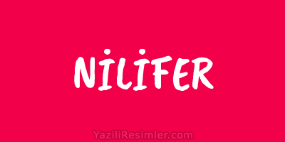 NİLİFER