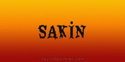 SAKİN