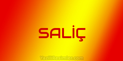 SALİÇ