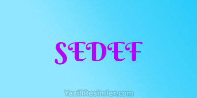 SEDEF