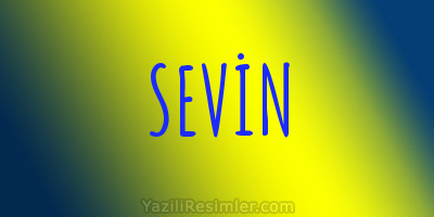 SEVİN