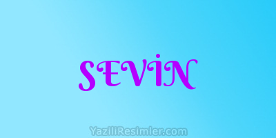 SEVİN