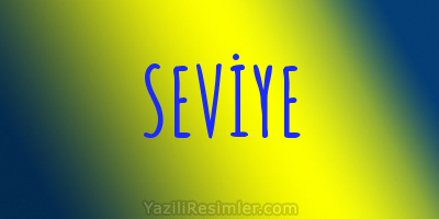 SEVİYE