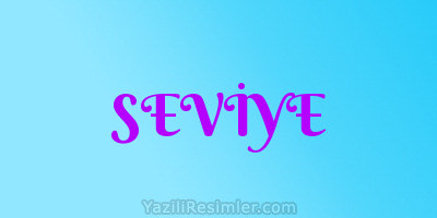 SEVİYE