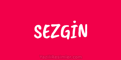 SEZGİN