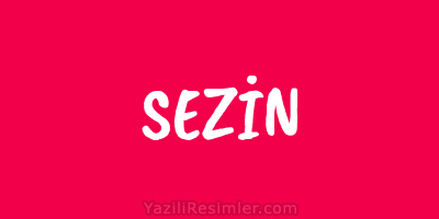 SEZİN