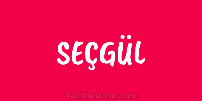 SEÇGÜL