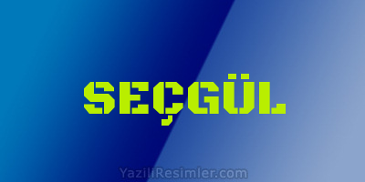 SEÇGÜL