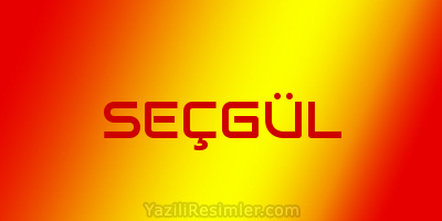 SEÇGÜL