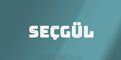 SEÇGÜL