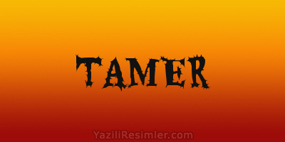 TAMER