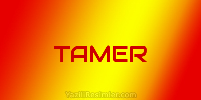 TAMER