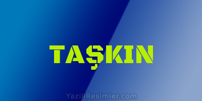 TAŞKIN