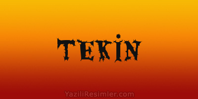 TEKİN