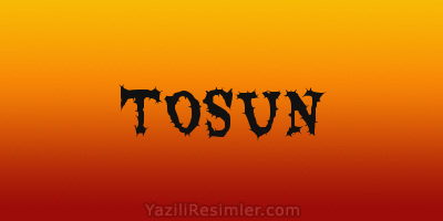 TOSUN