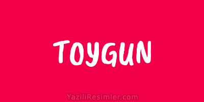 TOYGUN