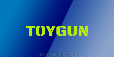 TOYGUN