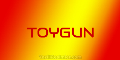 TOYGUN