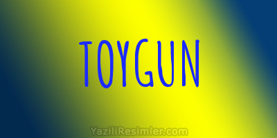 TOYGUN