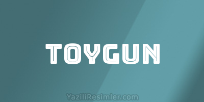 TOYGUN