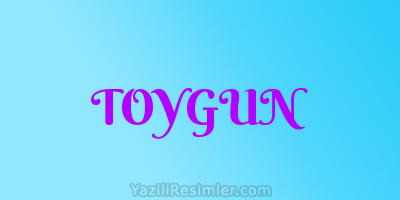 TOYGUN