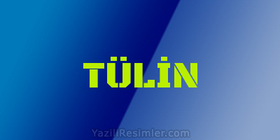 TÜLİN