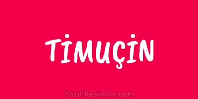 TİMUÇİN