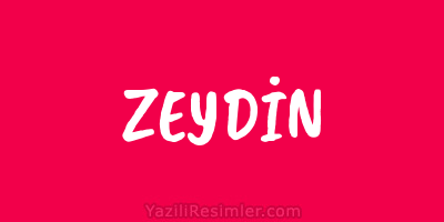 ZEYDİN