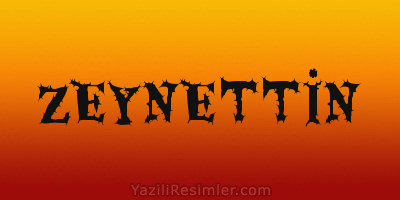 ZEYNETTİN