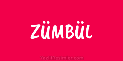 ZÜMBÜL