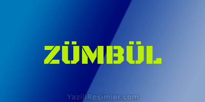 ZÜMBÜL