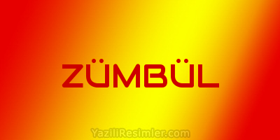 ZÜMBÜL