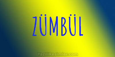 ZÜMBÜL