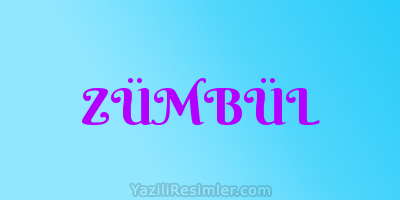 ZÜMBÜL