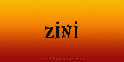 ZİNİ