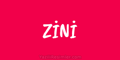 ZİNİ