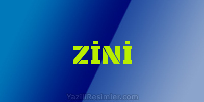 ZİNİ