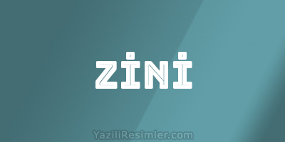 ZİNİ