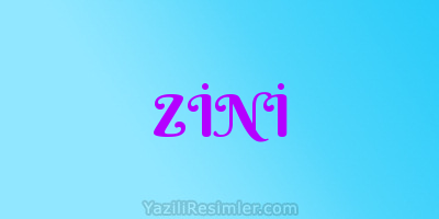 ZİNİ