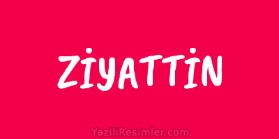 ZİYATTİN