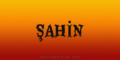 ŞAHİN