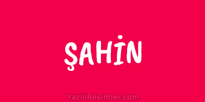 ŞAHİN