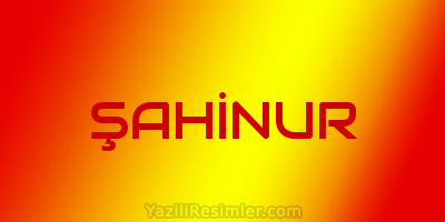 ŞAHİNUR