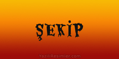 ŞEKİP