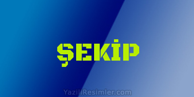 ŞEKİP