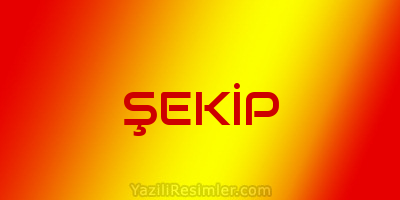 ŞEKİP